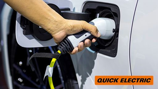 Fast, One Time Service In Waiuku